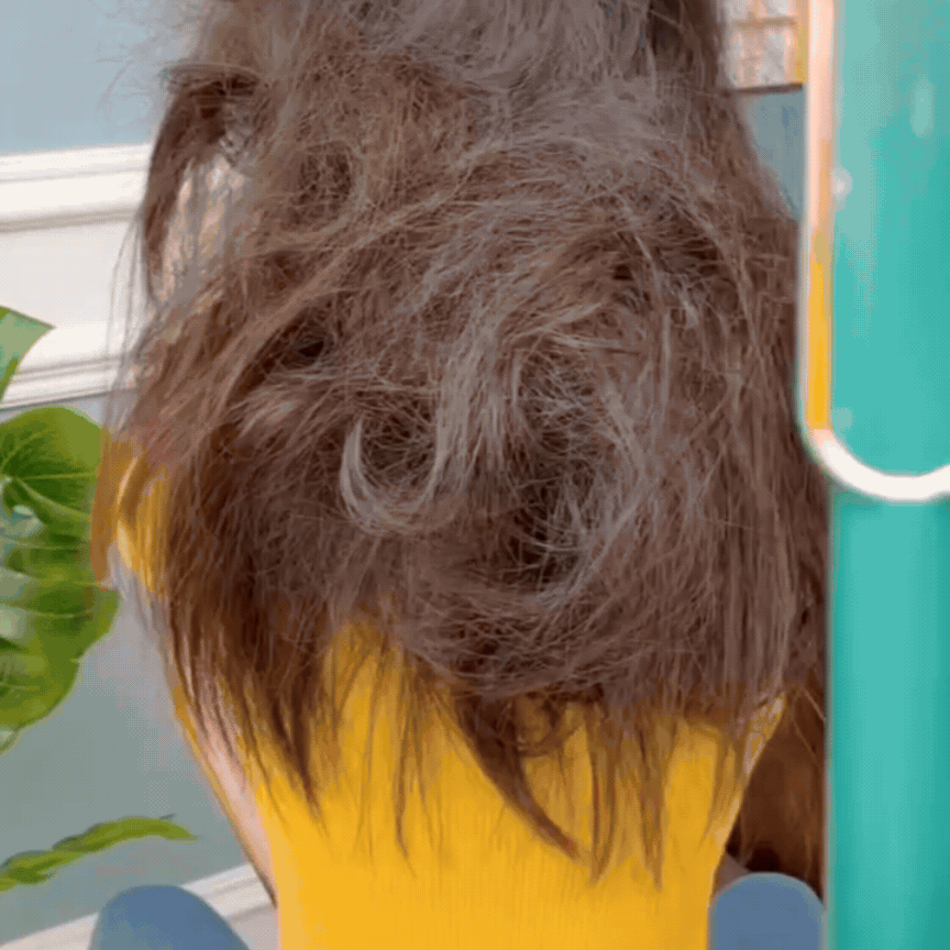 2 in 1 Hair Styler Brush